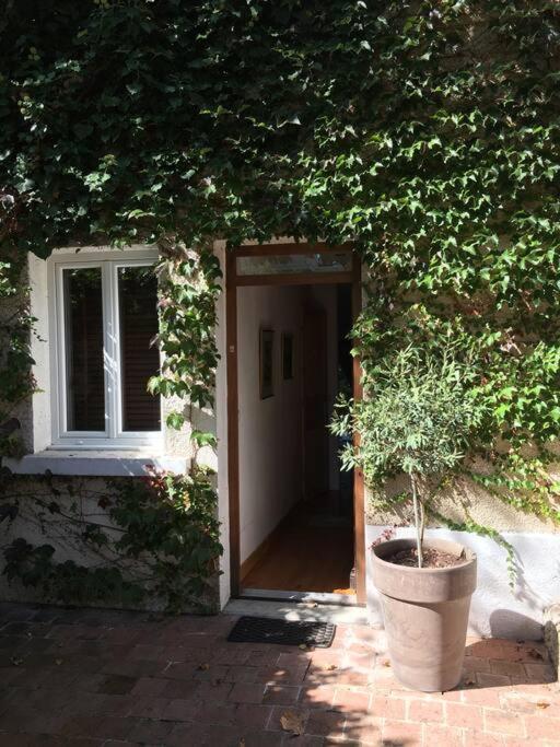Studio Close Fourviere Very Quiet & Small Terrace Leilighet Lyon Eksteriør bilde
