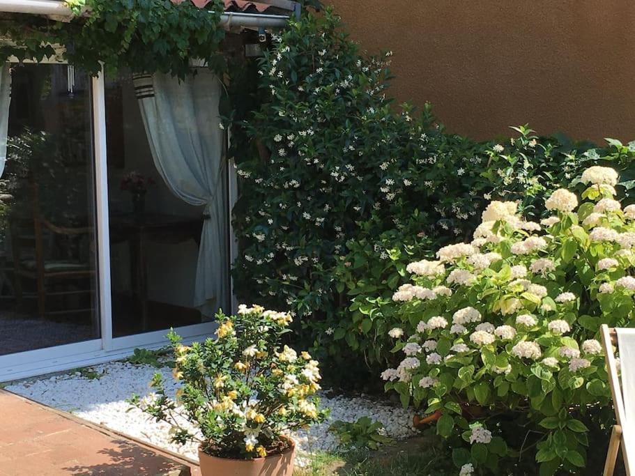 Studio Close Fourviere Very Quiet & Small Terrace Leilighet Lyon Eksteriør bilde